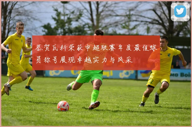 恭贺瓦科荣获中超联赛年度最佳球员称号展现卓越实力与风采