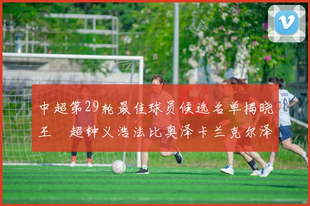 中超第29轮最佳球员候选名单揭晓王燊超钟义浩法比奥泽卡兰克尔泽齐聚争夺荣耀
